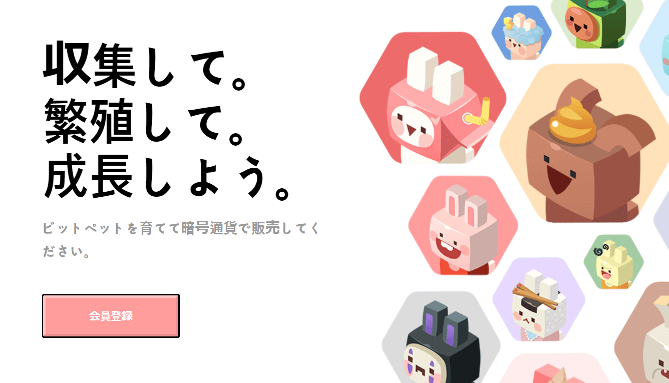 bitpet06