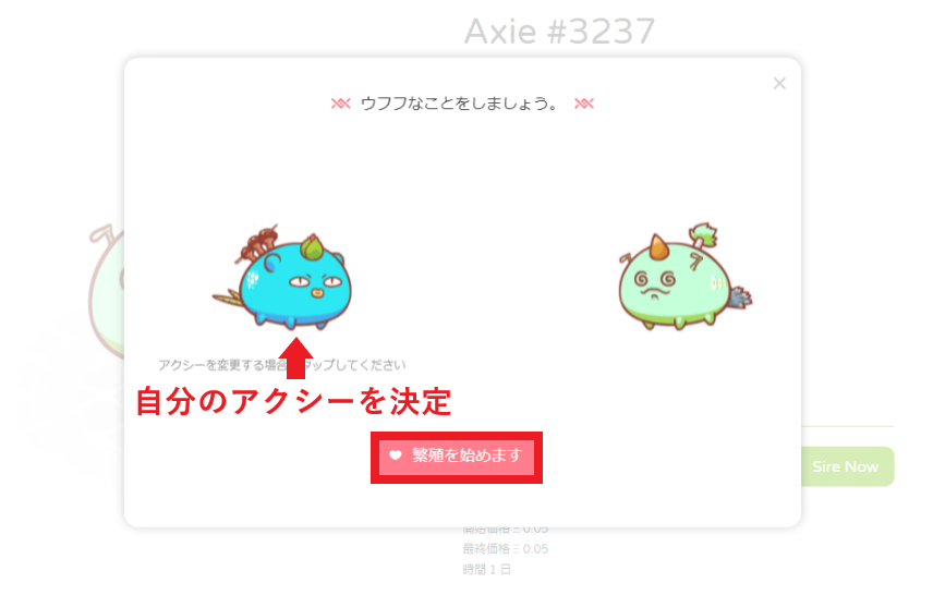 アクシー親