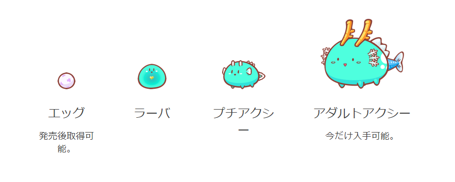 アクシー成長