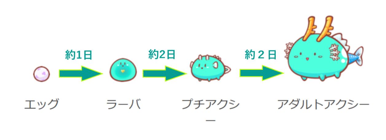 アクシー成長