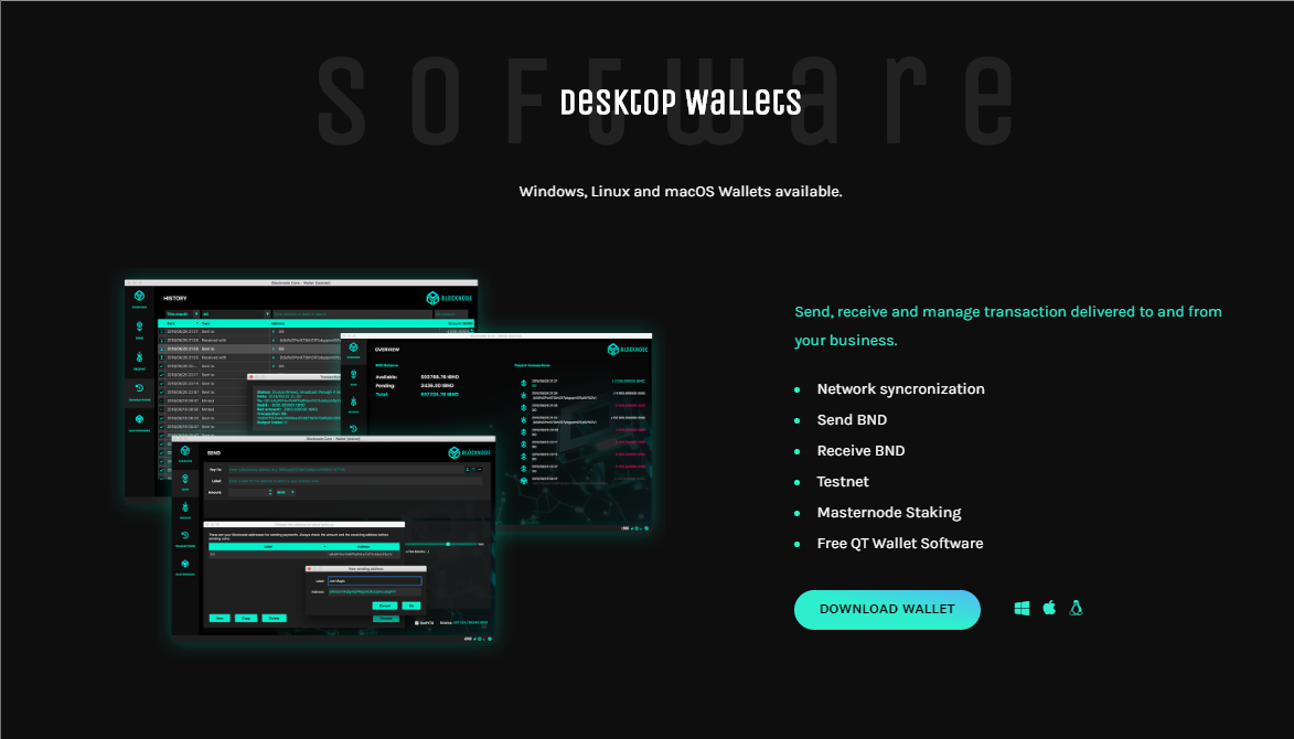 Blocknode ブロックノード マスターノード