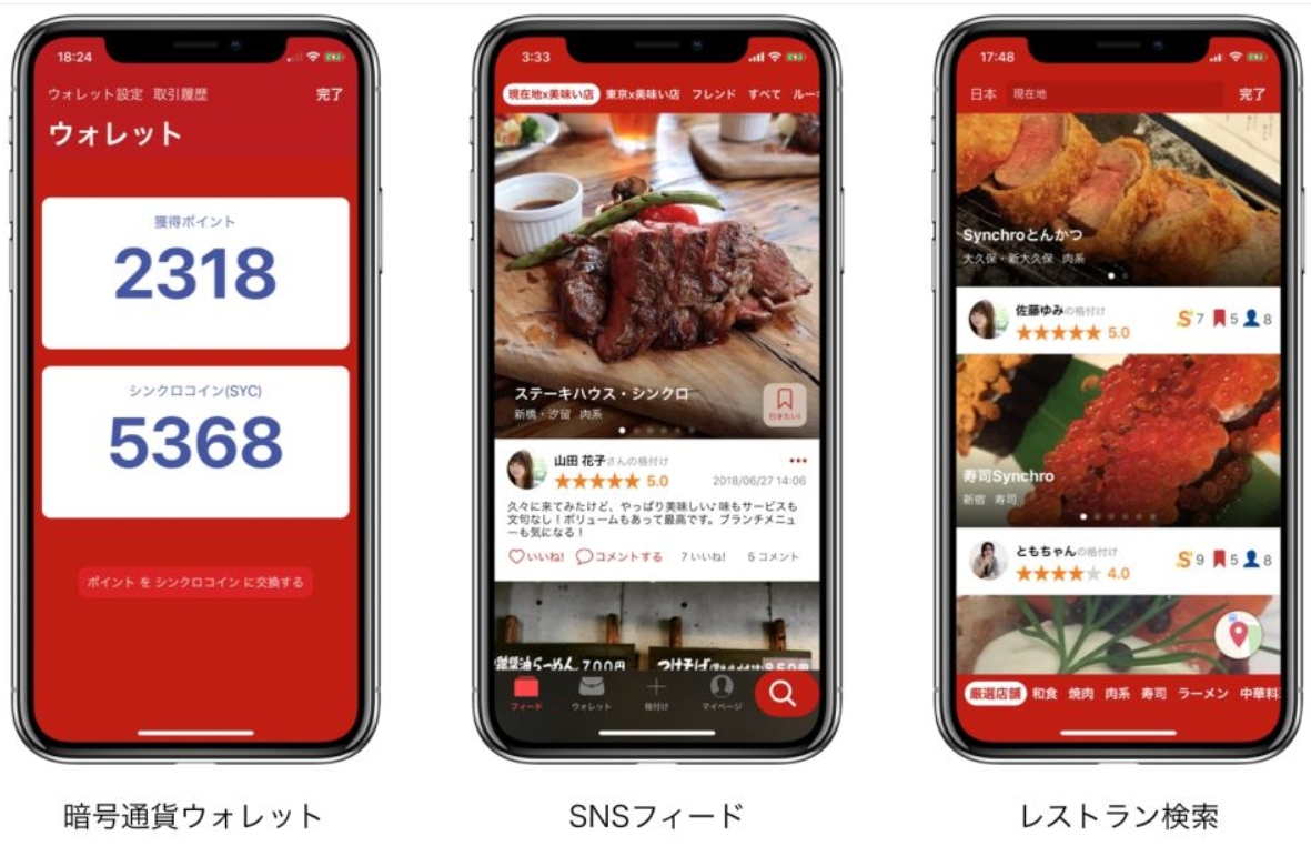シンクロライフ synchrolife 仕組み SYC SynchroCoin