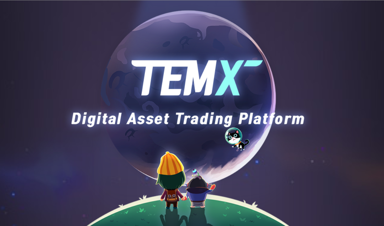 DIG STAR(ディグスター)リリース情報とマーケットTEMXの概要 DIG STAR(ディグスター)リリース情報とマーケットTEMXの概要