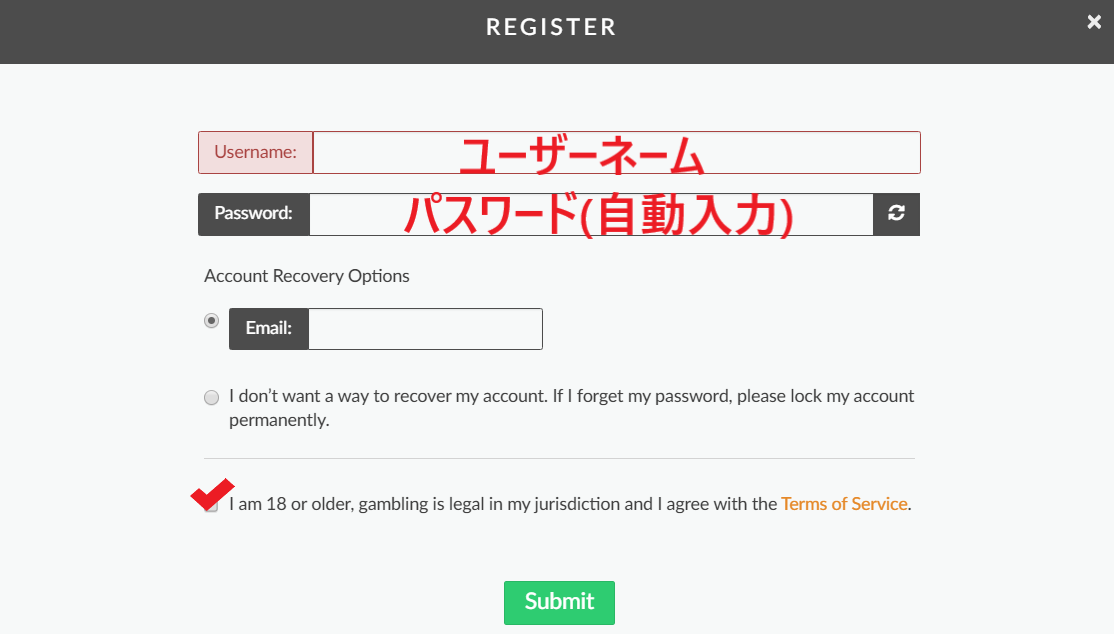 バスタビット bustabit 始め方 遊び方 入金