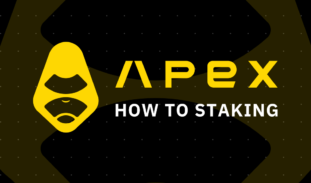 ApeX ステーキング方法｜USDCの稼ぎ方・手順と設定のやり方